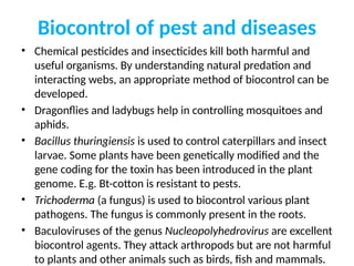 Biocontrol of pest and diseases
• Chemical pesticides and insecticides kill both harmful and
useful organisms. By understanding natural predation and
interacting webs, an appropriate method of biocontrol can be
developed.
• Dragonflies and ladybugs help in controlling mosquitoes and
aphids.
• Bacillus thuringiensis is used to control caterpillars and insect
larvae. Some plants have been genetically modified and the
gene coding for the toxin has been introduced in the plant
genome. E.g. Bt-cotton is resistant to pests.
• Trichoderma (a fungus) is used to biocontrol various plant
pathogens. The fungus is commonly present in the roots.
• Baculoviruses of the genus Nucleopolyhedrovirus are excellent
biocontrol agents. They attack arthropods but are not harmful
to plants and other animals such as birds, fish and mammals.
 