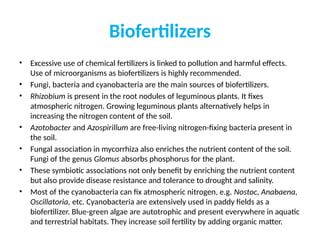 Biofertilizers
• Excessive use of chemical fertilizers is linked to pollution and harmful effects.
Use of microorganisms as biofertilizers is highly recommended.
• Fungi, bacteria and cyanobacteria are the main sources of biofertilizers.
• Rhizobium is present in the root nodules of leguminous plants. It fixes
atmospheric nitrogen. Growing leguminous plants alternatively helps in
increasing the nitrogen content of the soil.
• Azotobacter and Azospirillum are free-living nitrogen-fixing bacteria present in
the soil.
• Fungal association in mycorrhiza also enriches the nutrient content of the soil.
Fungi of the genus Glomus absorbs phosphorus for the plant.
• These symbiotic associations not only benefit by enriching the nutrient content
but also provide disease resistance and tolerance to drought and salinity.
• Most of the cyanobacteria can fix atmospheric nitrogen, e.g. Nostoc, Anabaena,
Oscillatoria, etc. Cyanobacteria are extensively used in paddy fields as a
biofertilizer. Blue-green algae are autotrophic and present everywhere in aquatic
and terrestrial habitats. They increase soil fertility by adding organic matter.
 
