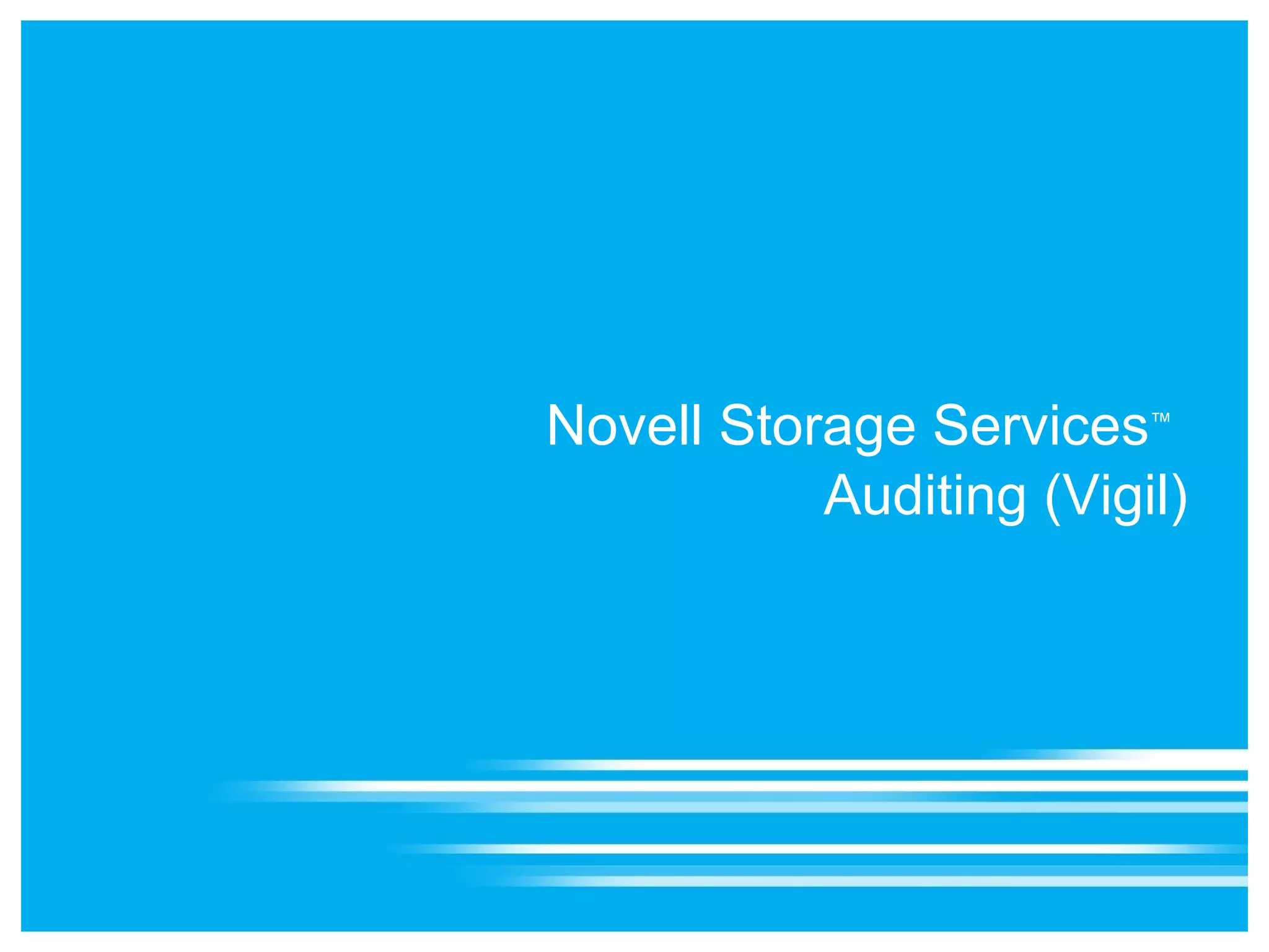 /var/opt/novell/log/ncp2nss.log Also uses Extended Attributes and _admin 