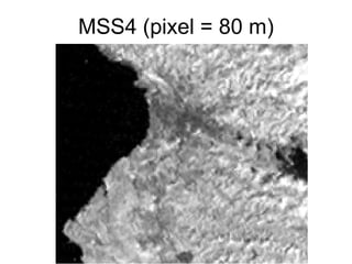 MSS4 (pixel = 80 m)
 