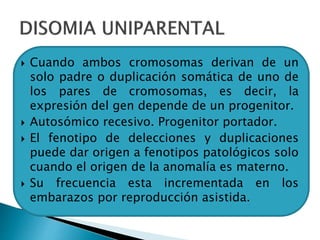  Cuando ambos cromosomas derivan de un
solo padre o duplicación somática de uno de
los pares de cromosomas, es decir, la
expresión del gen depende de un progenitor.
 Autosómico recesivo. Progenitor portador.
 El fenotipo de delecciones y duplicaciones
puede dar origen a fenotipos patológicos solo
cuando el origen de la anomalía es materno.
 Su frecuencia esta incrementada en los
embarazos por reproducción asistida.
 