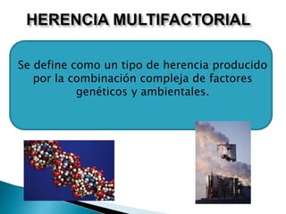 HERENCIA MULTIFACTORIAL
Se define como un tipo de herencia producido
por la combinación compleja de factores
genéticos y ambientales.
 