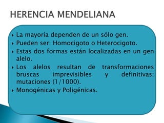  La mayoría dependen de un sólo gen.
 Pueden ser: Homocigoto o Heterocigoto.
 Estas dos formas están localizadas en un gen
alelo.
 Los alelos resultan de transformaciones
bruscas imprevisibles y definitivas:
mutaciones (1/1000).
 Monogénicas y Poligénicas.
 