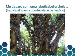 Me deparo com uma jabuticabeira cheia…
(i.e., visualizo uma oportunidade de negócio)
 