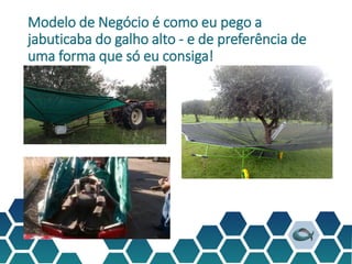 Modelo de Negócio é como eu pego a
jabuticaba do galho alto - e de preferência de
uma forma que só eu consiga!
 