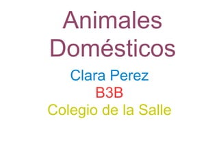 Animales Domésticos Clara Perez B3B Colegio de la Salle 