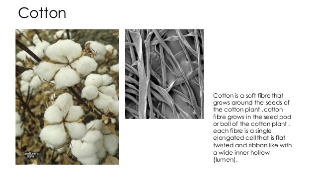 Claasifcation of fibres