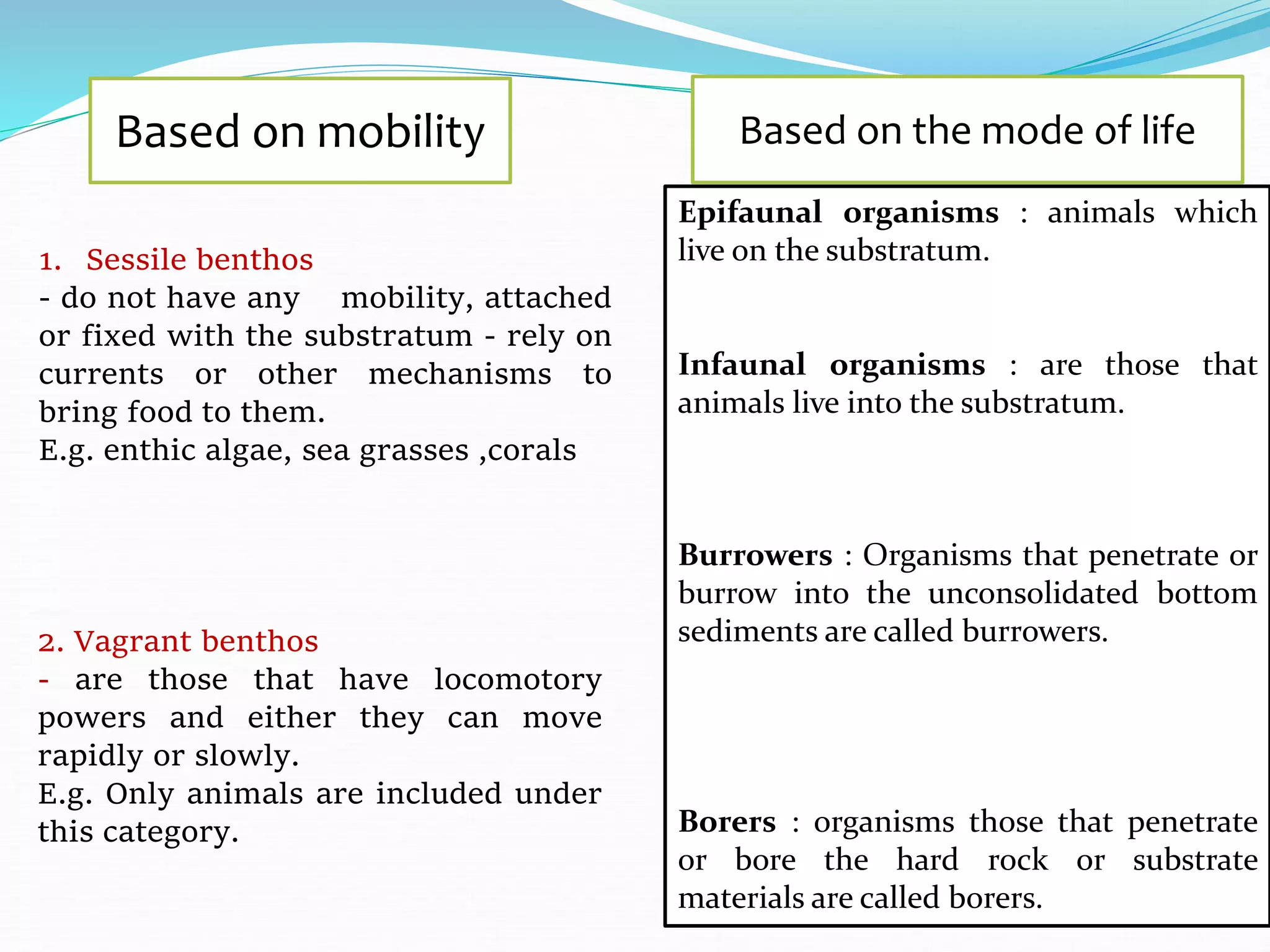 Based on the mode of life
Epifaunal organisms : animals which
live on the substratum.
Infaunal organisms : are those that
animals live into the substratum.
Burrowers : Organisms that penetrate or
burrow into the unconsolidated bottom
sediments are called burrowers.
Borers : organisms those that penetrate
or bore the hard rock or substrate
materials are called borers.
Based on mobility
1. Sessile benthos
- do not have any mobility, attached
or fixed with the substratum - rely on
currents or other mechanisms to
bring food to them.
E.g. enthic algae, sea grasses ,corals
2. Vagrant benthos
- are those that have locomotory
powers and either they can move
rapidly or slowly.
E.g. Only animals are included under
this category.
 