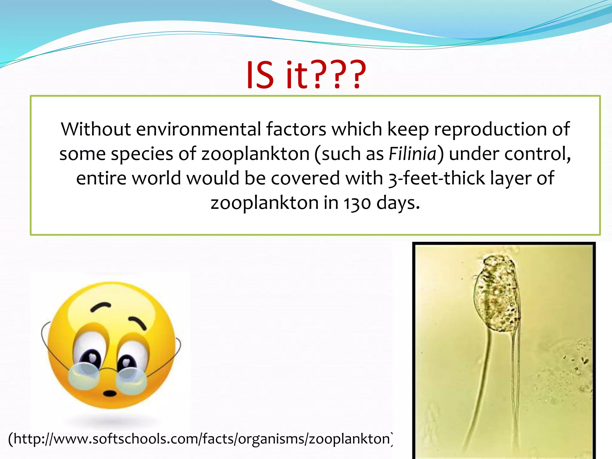 IS it???
Without environmental factors which keep reproduction of
some species of zooplankton (such as Filinia) under control,
entire world would be covered with 3-feet-thick layer of
zooplankton in 130 days.
(http://www.softschools.com/facts/organisms/zooplankton)
 