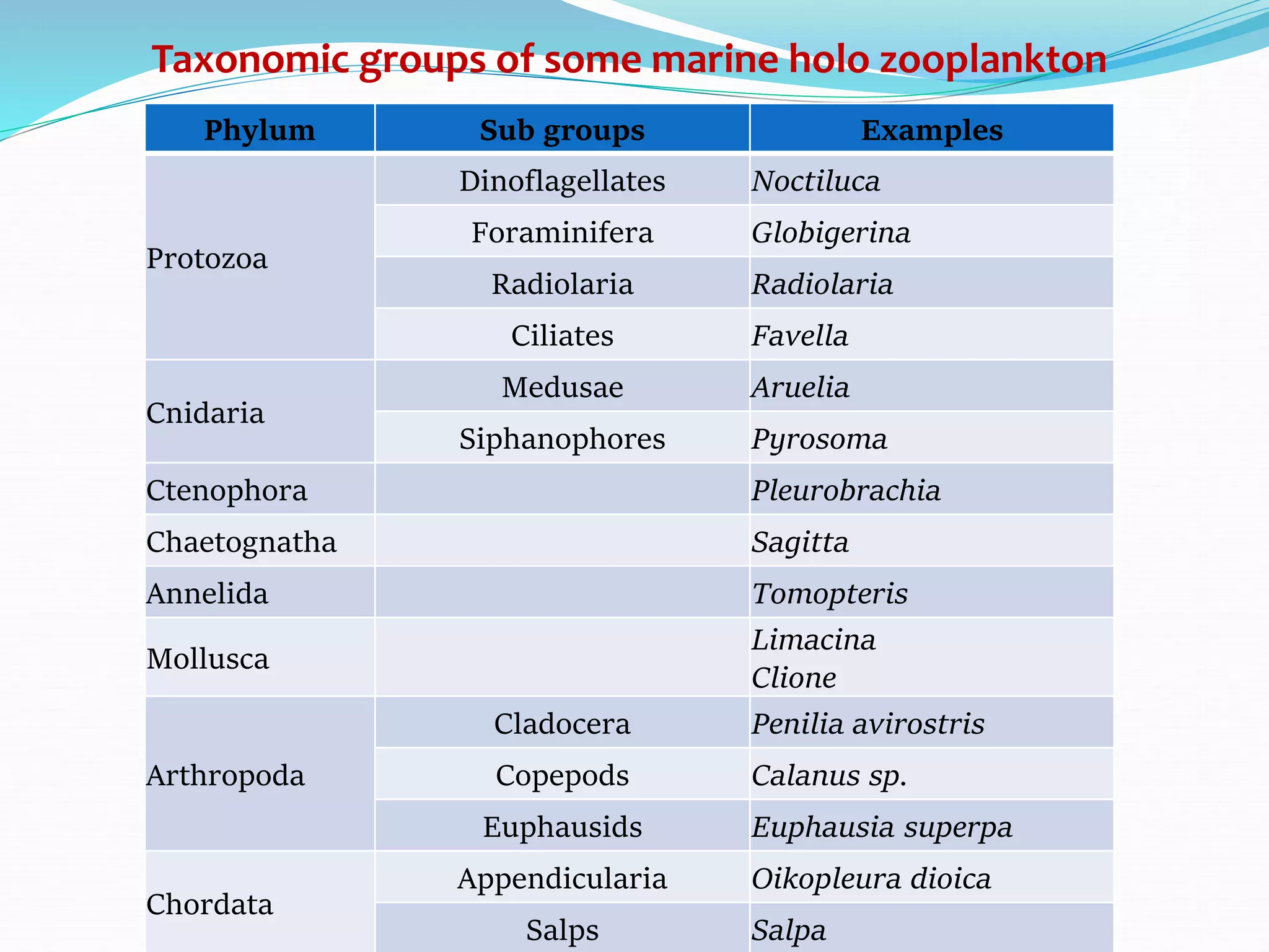 Phylum Sub groups Examples
Protozoa
Dinoflagellates Noctiluca
Foraminifera Globigerina
Radiolaria Radiolaria
Ciliates Favella
Cnidaria
Medusae Aruelia
Siphanophores Pyrosoma
Ctenophora Pleurobrachia
Chaetognatha Sagitta
Annelida Tomopteris
Mollusca
Limacina
Clione
Arthropoda
Cladocera Penilia avirostris
Copepods Calanus sp.
Euphausids Euphausia superpa
Chordata
Appendicularia Oikopleura dioica
Salps Salpa
Taxonomic groups of some marine holo zooplankton
 