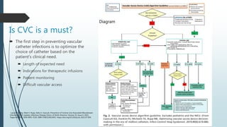 HAI: Central Line–Associated Bloodstream Infections | PPTX