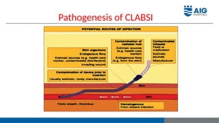 Central line associated blood stream infection | PPTX