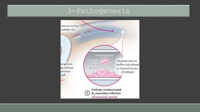 Prevention of Central Line–Associated Bloodstream Infections (CLABSI ...