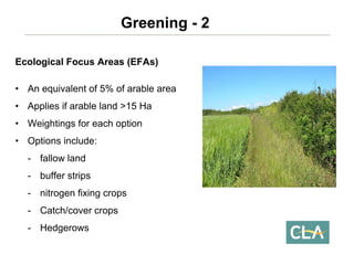 Ecological Focus Areas (EFAs) 
•An equivalent of 5% of arable area 
•Applies if arable land >15 Ha 
•Weightings for each option 
•Options include: 
-fallow land 
-buffer strips 
-nitrogen fixing crops 
-Catch/cover crops 
-HedgerowsGreening -2  