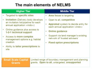 The main elements of NELMS  