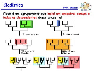 Clado é um agrupamento que inclui um ancestral comum e
todos os descendentes desse ancestral
Cladística Prof. Emanuel
 