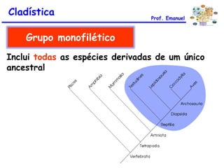 Inclui todas as espécies derivadas de um único
ancestral
Grupo monofilético
Cladística Prof. Emanuel
 