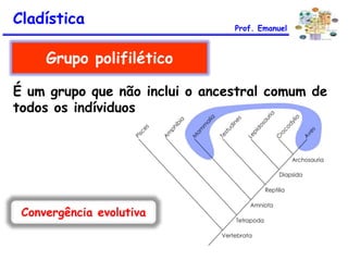 É um grupo que não inclui o ancestral comum de
todos os indíviduos
Grupo polifilético
Cladística Prof. Emanuel
Convergência evolutiva
 
