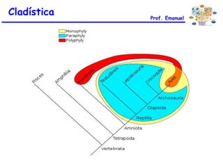 Cladística Prof. Emanuel
 