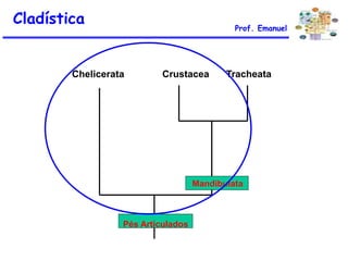 Cladística Prof. Emanuel
Chelicerata Crustacea Tracheata
Mandibulata
Pés Articulados
 