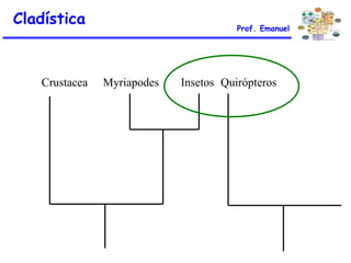 Cladística Prof. Emanuel
QuirópterosInsetosMyriapodesCrustacea
 