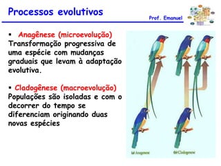  Anagênese (microevolução)
Transformação progressiva de
uma espécie com mudanças
graduais que levam à adaptação
evolutiva.
 Cladogênese (macroevolução)
Populações são isoladas e com o
decorrer do tempo se
diferenciam originando duas
novas espécies
Processos evolutivos Prof. Emanuel
 