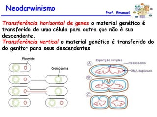 Transferência horizontal de genes o material genético é
transferido de uma célula para outra que não é sua
descendente.
Transferência vertical o material genético é transferido do
do genitor para seus descendentes
Neodarwinismo Prof. Emanuel
 