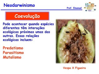 Pode acontecer quando espécies
diferentes têm interações
ecológicas próximas umas das
outras. Essas relações
ecológicas incluem:
Predatismo
Parasitismo
Mutalismo
Coevolução
Vespa X Figueira
Neodarwinismo Prof. Emanuel
 