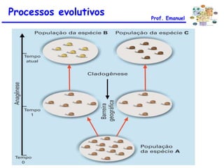 Processos evolutivos Prof. Emanuel
 