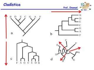 Cladística
Prof. Emanuel
 