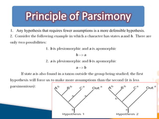 1. Any hypothesis that requires fewer assumptions is a more defensible hypothesis.
 