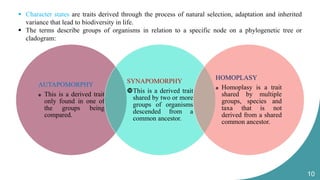cladistics.pptx