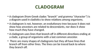 CLADOGRAM
• A cladogram (from Greek clados “branch” and gramma “character”) is
a diagram used in cladistics to show relations among organisms.
• A cladogram is not, however, an evolutionary tree because it does not
show how ancestors are related to descendants, nor does it show
how much they have changed.
• A cladogram uses lines that branch off in different directions ending at
a clade, a group of organisms with a last common ancestor.
• There are many shapes of cladograms but they all have lines that
branch off from other lines. The lines can be traced back to where
they branch off.
 