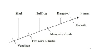 Cladistics | PPTX
