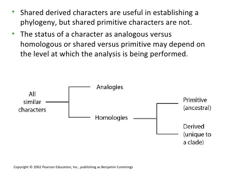 Cladistics For Bb