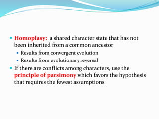  Homoplasy: a shared character state that has not
been inherited from a common ancestor
 Results from convergent evolution
 Results from evolutionary reversal
 If there are conflicts among characters, use the
principle of parsimony which favors the hypothesis
that requires the fewest assumptions
 