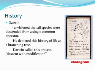 History
 Darwin
- envisioned that all species were
descended from a single common
ancestor.
-He depicted this history of life as
a branching tree.
-Darwin called this process
“descent with modification”
cladogram
 