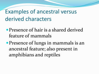 Examples of ancestral versus
derived characters
Presence of hair is a shared derived
feature of mammals
Presence of lungs in mammals is an
ancestral feature; also present in
amphibians and reptiles
 