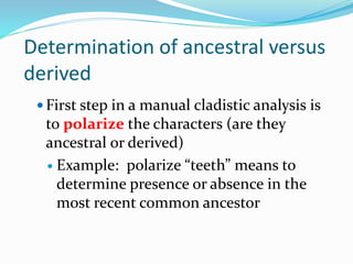 Determination of ancestral versus
derived
 First step in a manual cladistic analysis is
to polarize the characters (are they
ancestral or derived)
 Example: polarize “teeth” means to
determine presence or absence in the
most recent common ancestor
 