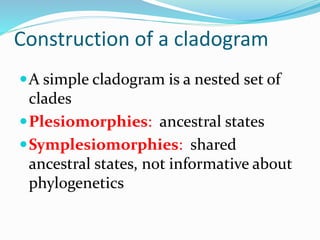 Construction of a cladogram
A simple cladogram is a nested set of
clades
Plesiomorphies: ancestral states
Symplesiomorphies: shared
ancestral states, not informative about
phylogenetics
 