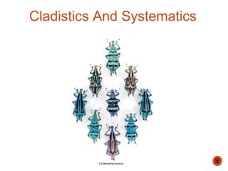 1
Cladistics And Systematics
 