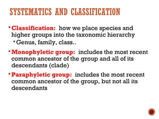 Cladistic systematics | PPT