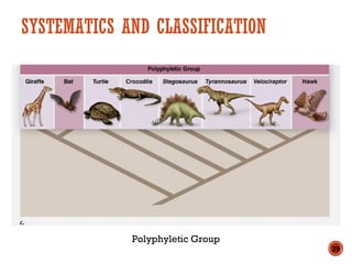 SYSTEMATICS AND CLASSIFICATION
Polyphyletic Group
29
 