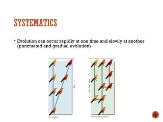 SYSTEMATICS
 Evolution can occur rapidly at one time and slowly at another
(punctuated and gradual evolution)
8
 