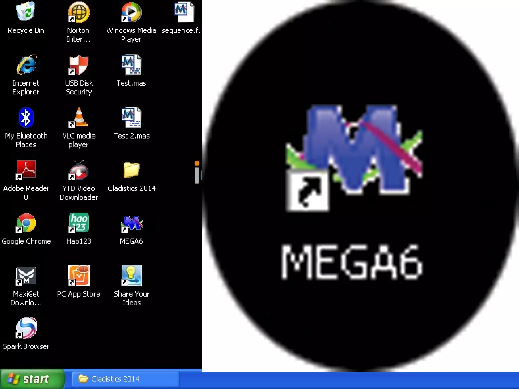 Basics of Cladistic Analysis Workshop