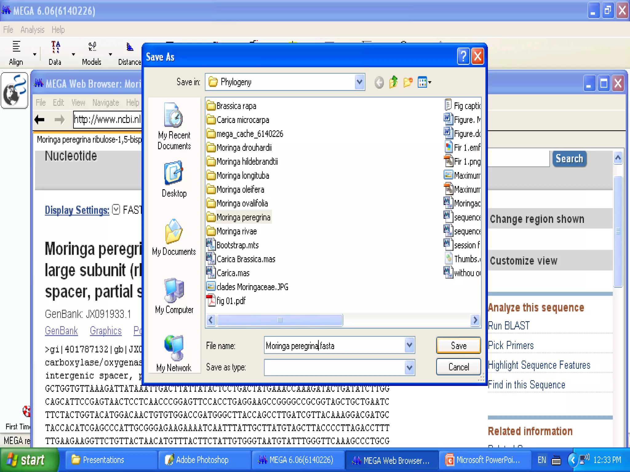 Basics of Cladistic Analysis Workshop