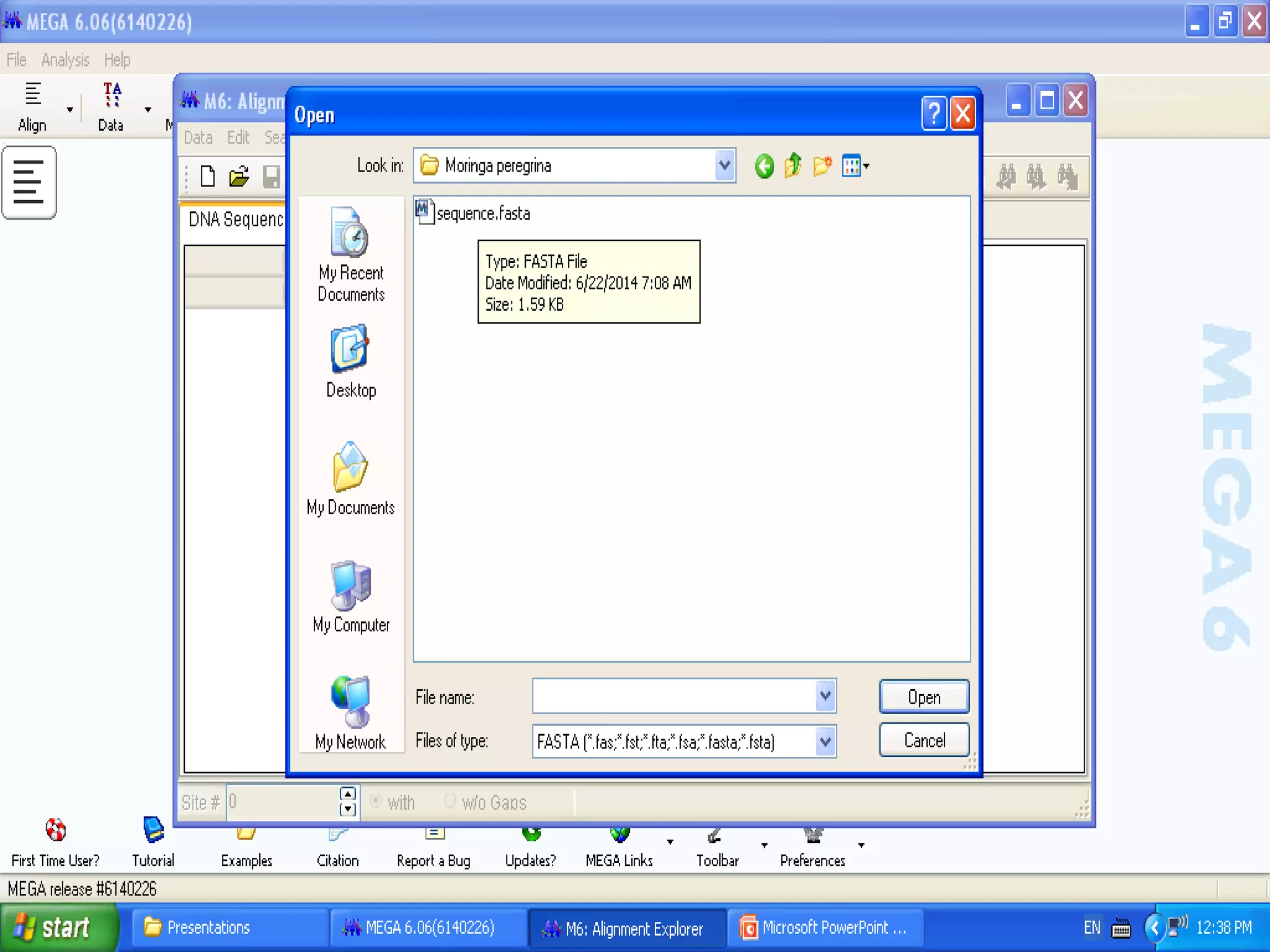 Basics of Cladistic Analysis Workshop