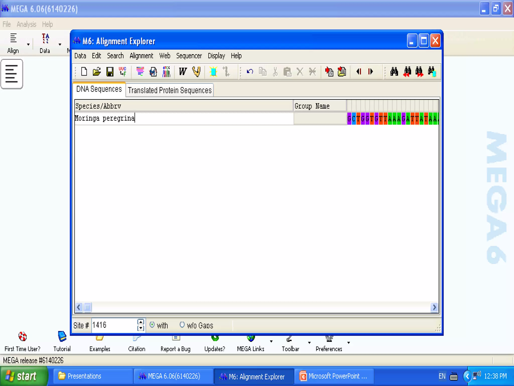 Basics of Cladistic Analysis Workshop