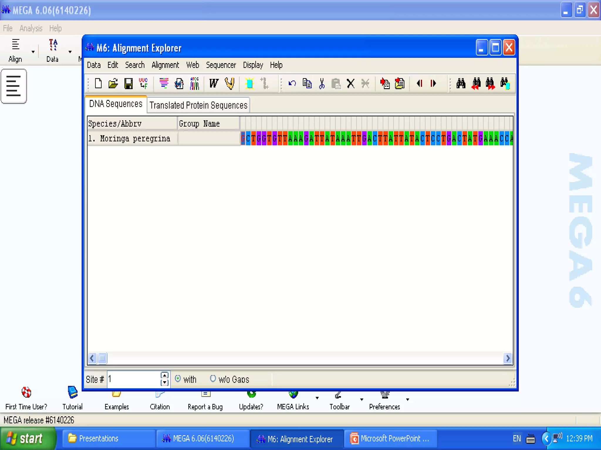 Basics of Cladistic Analysis Workshop