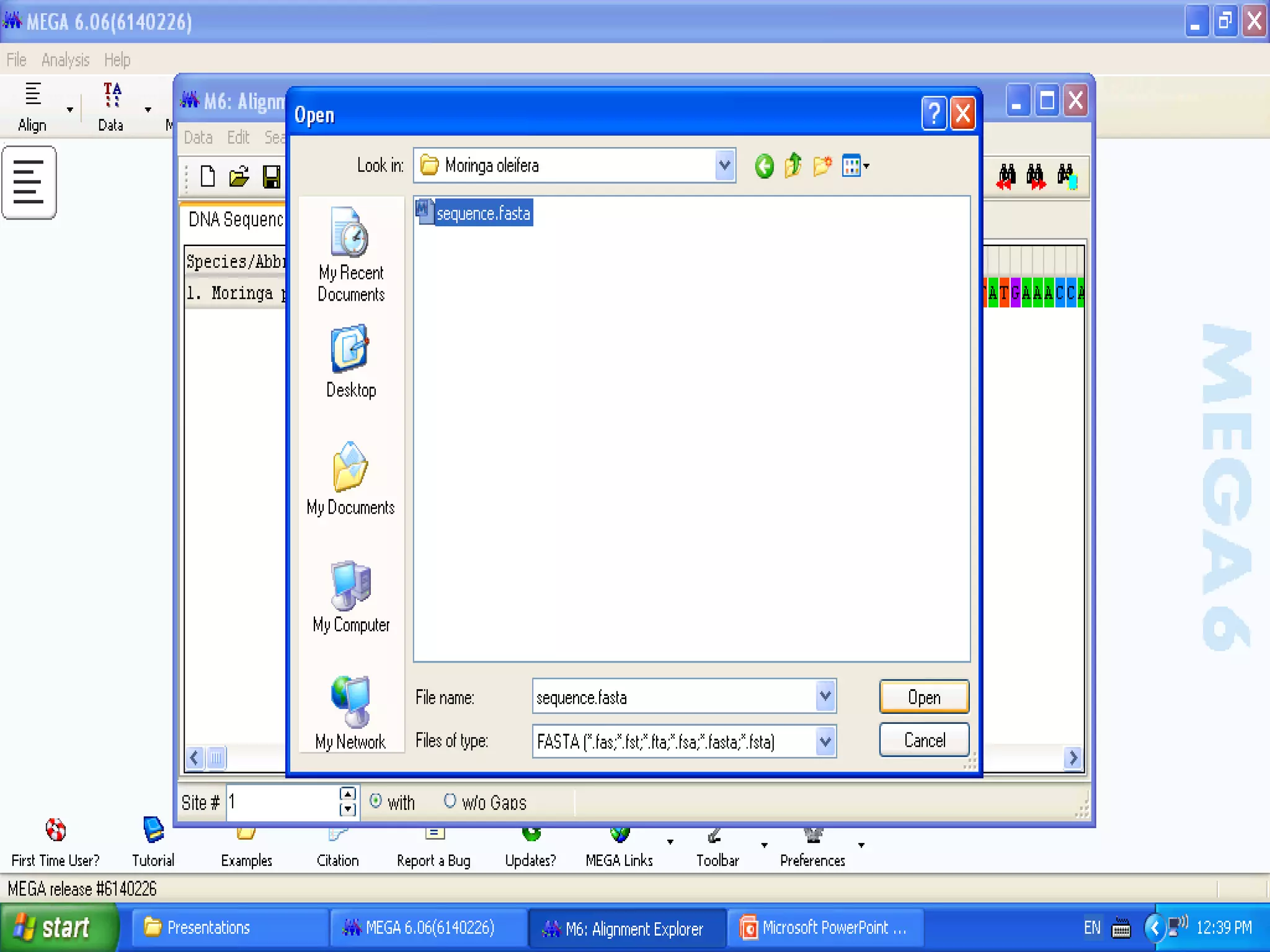 Basics of Cladistic Analysis Workshop
